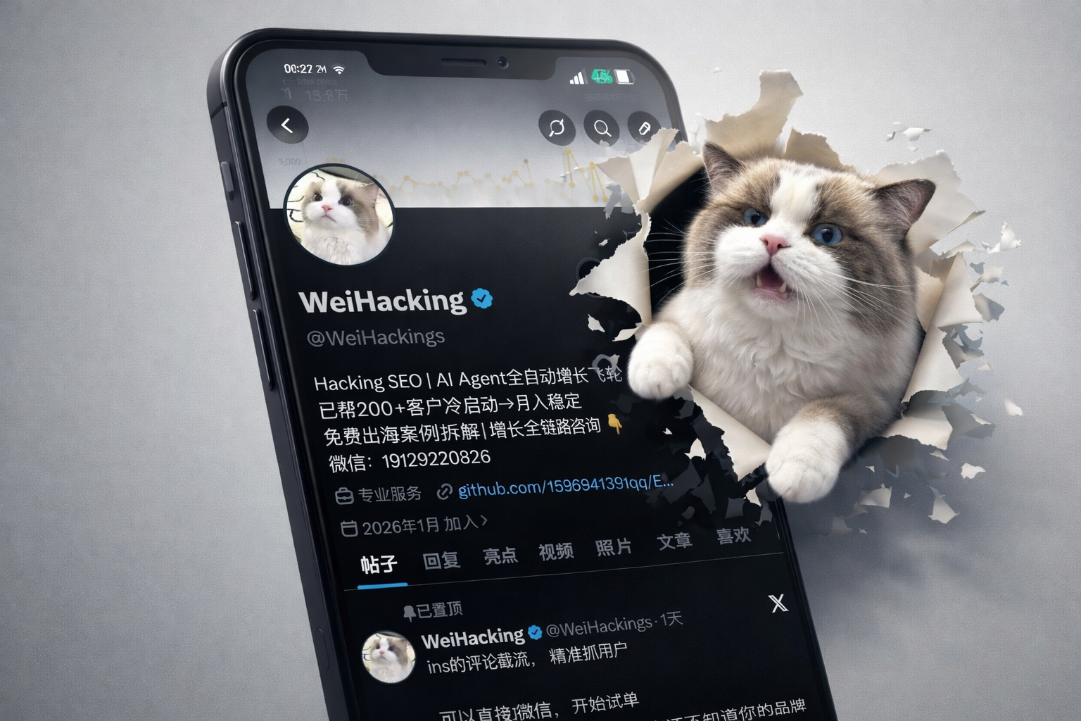 weihacking X/Twitter Profile